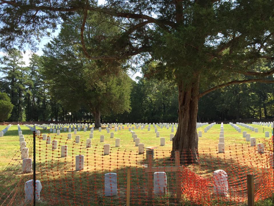 Goth Gardening ^o^a behind the scenes, hard hat tour of Poplar