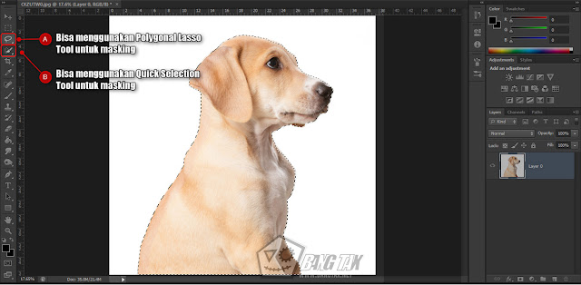 Cara Membuat Double Exposure Mudah Di Adobe Photoshop