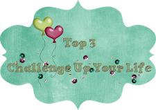Top 3 - 10/2014 bei Challenge Up Your Life