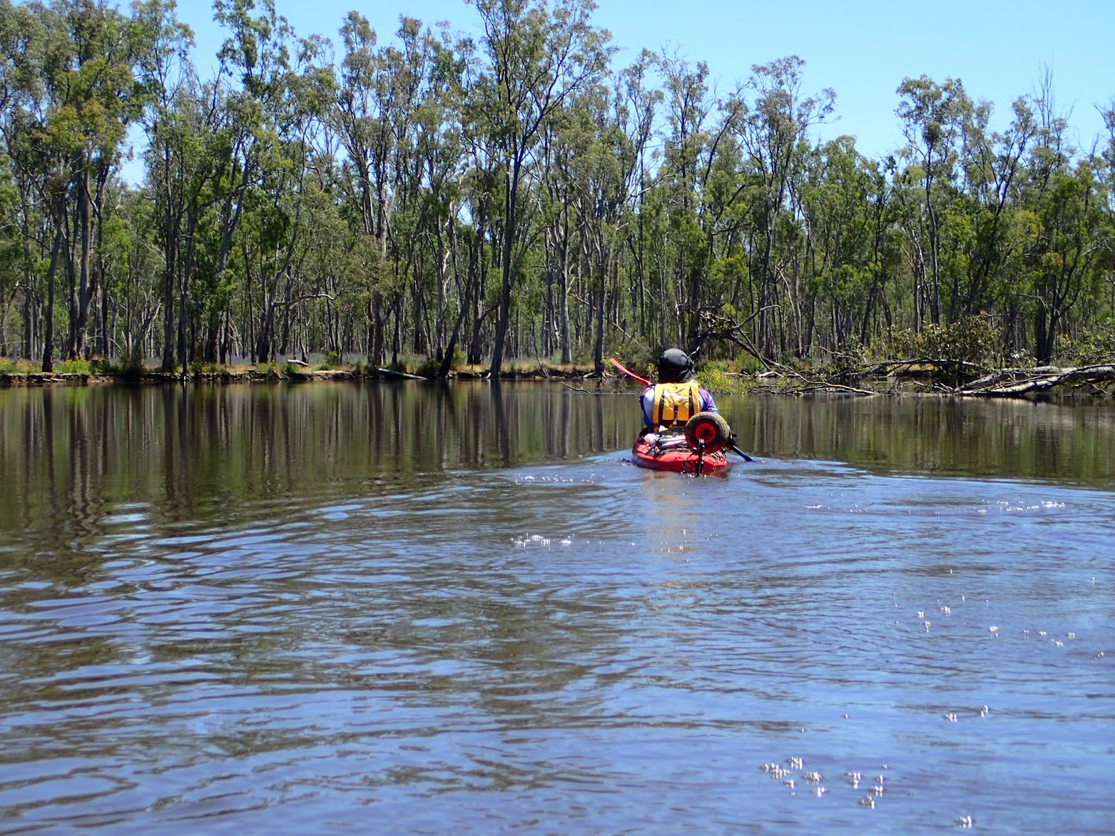 Simon Joe and Tony Big Kayak Paddle Day 3 Turner Bend to Halfway