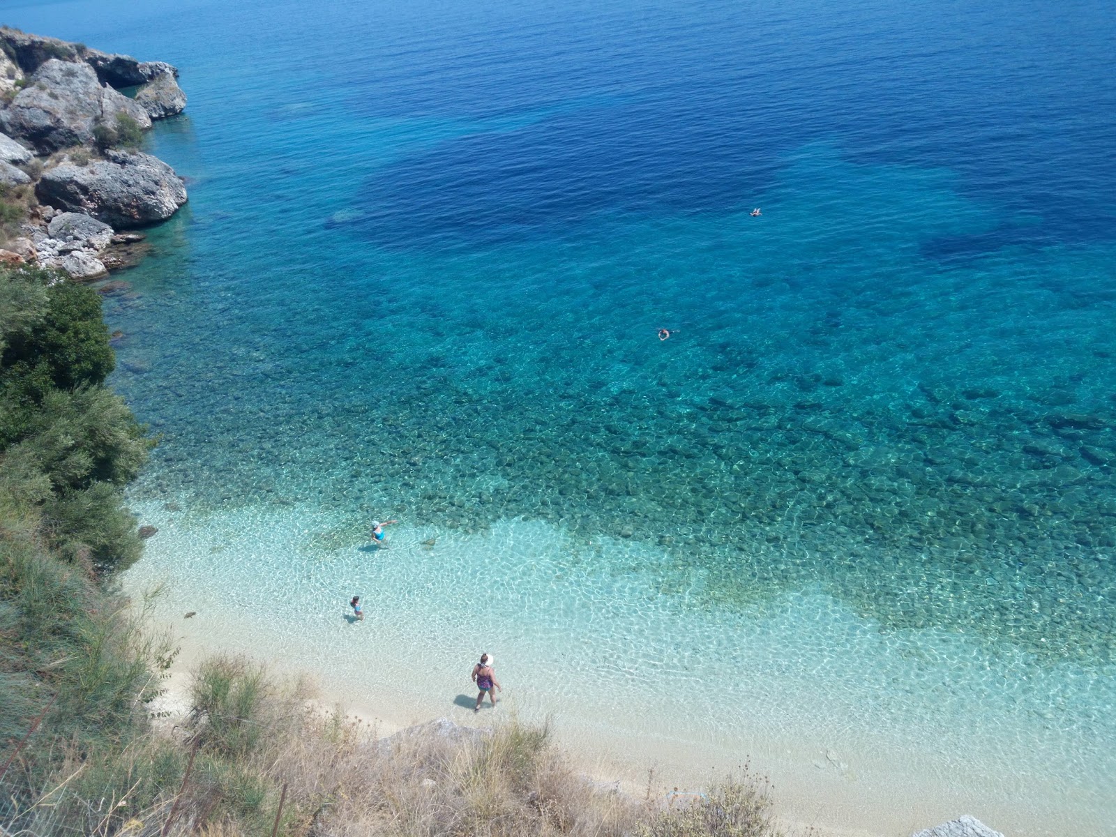 ricette a base di cavolo verde a sud della spiaggia