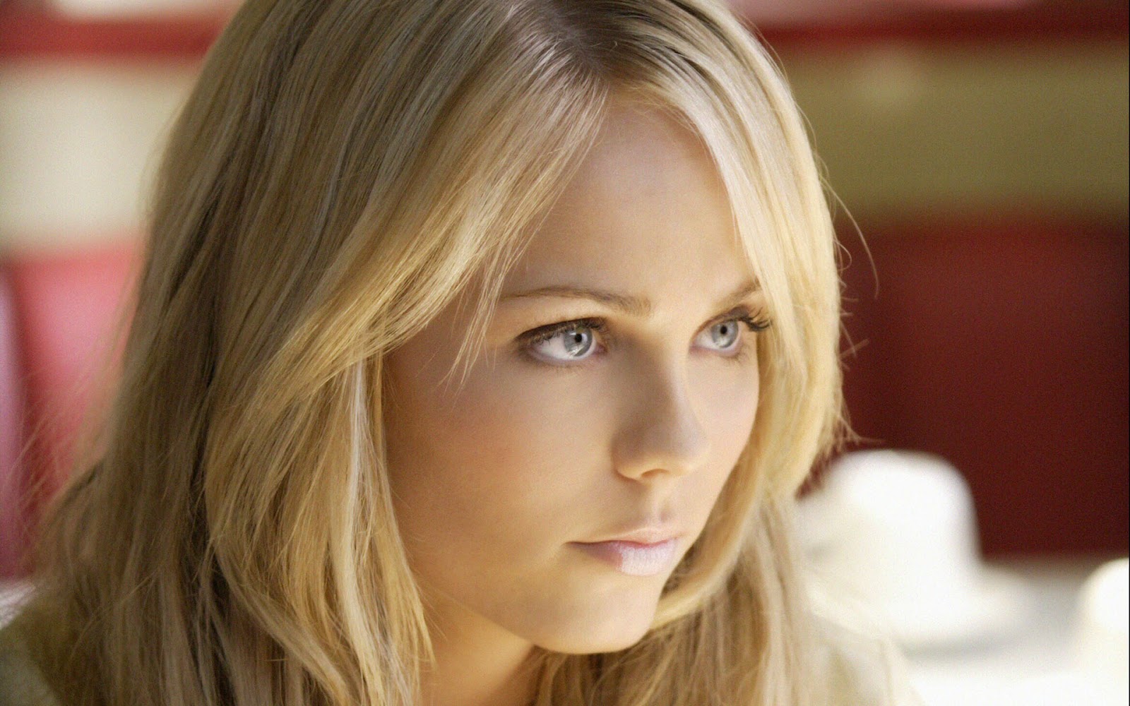 Super star life style photo gallary : Laura Dianne Vandervoort