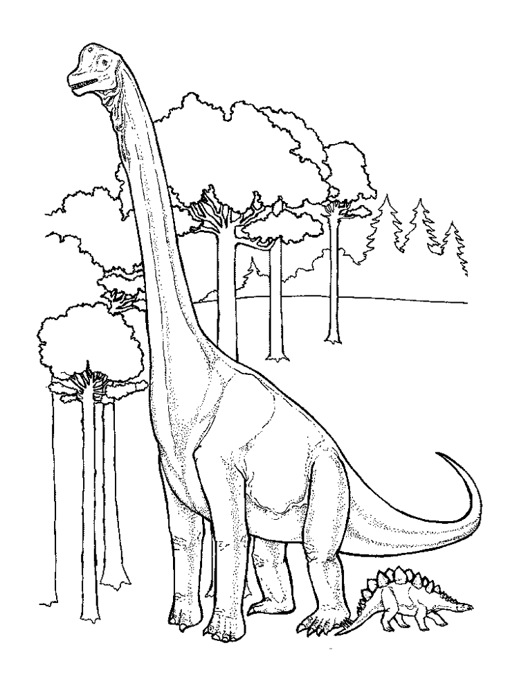 Desenhos para Colorir e Pintar Dinossauros Desenhos