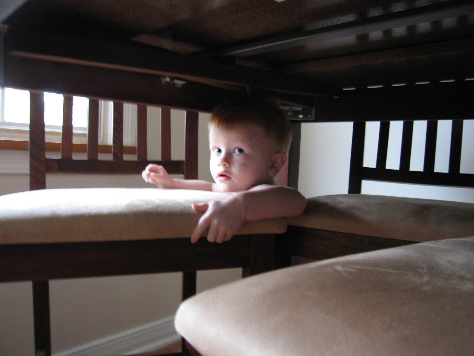 The Stephen Clan Under the Table and Dreaming