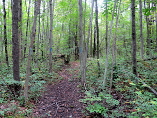 good trail