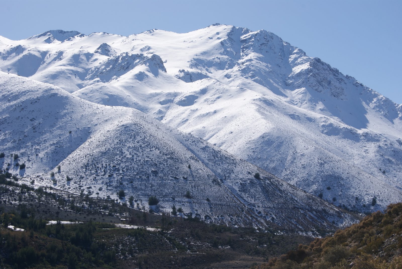 Illapel: CÉSPEDES BAJO LA NIEVE