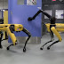 Dog-like robot opens a door in mesmerizing viral video | Boston Dynamics