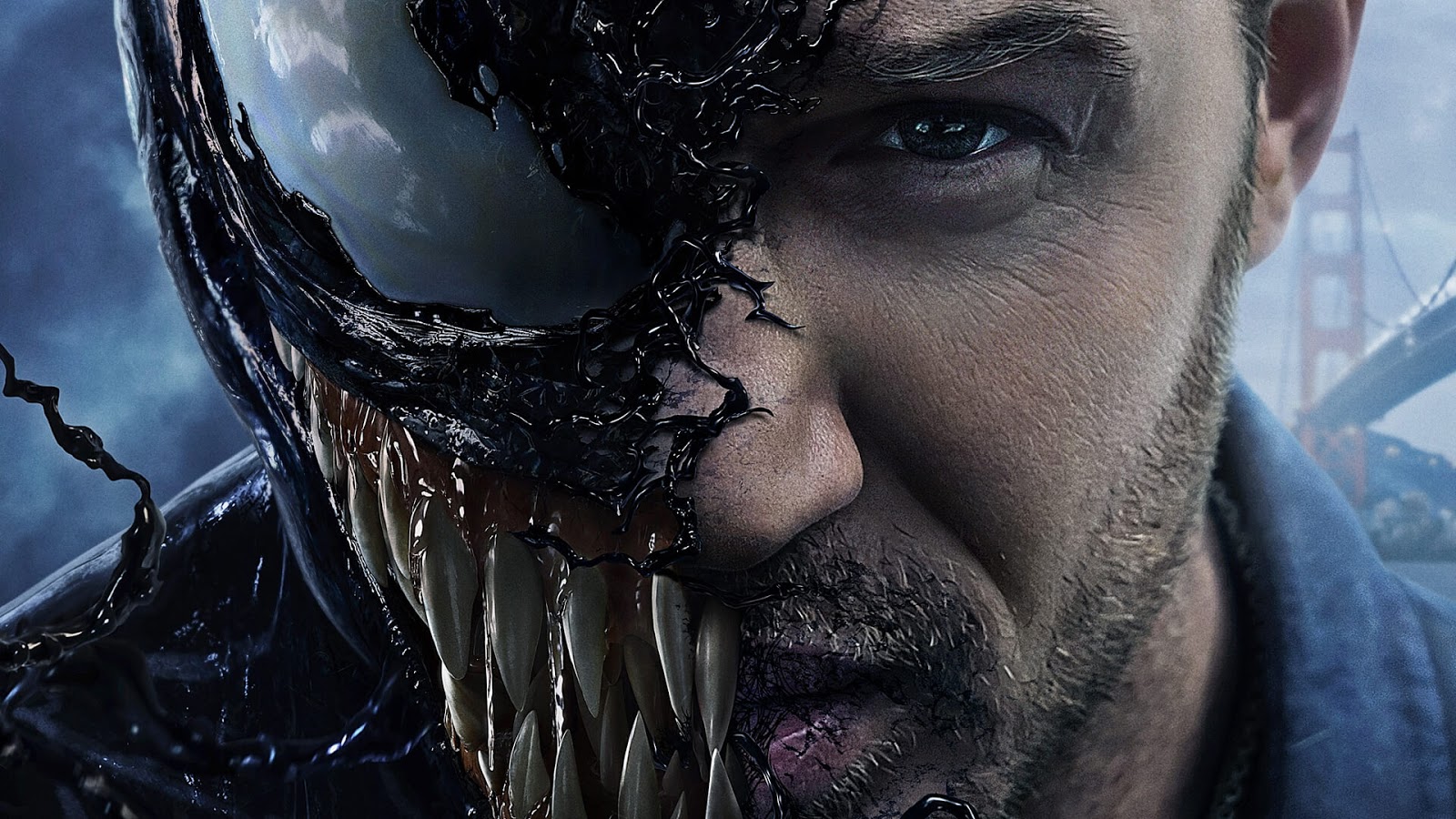 Part 1 2019 Top 5 Best Free HD Hollywood Movie Download Sites