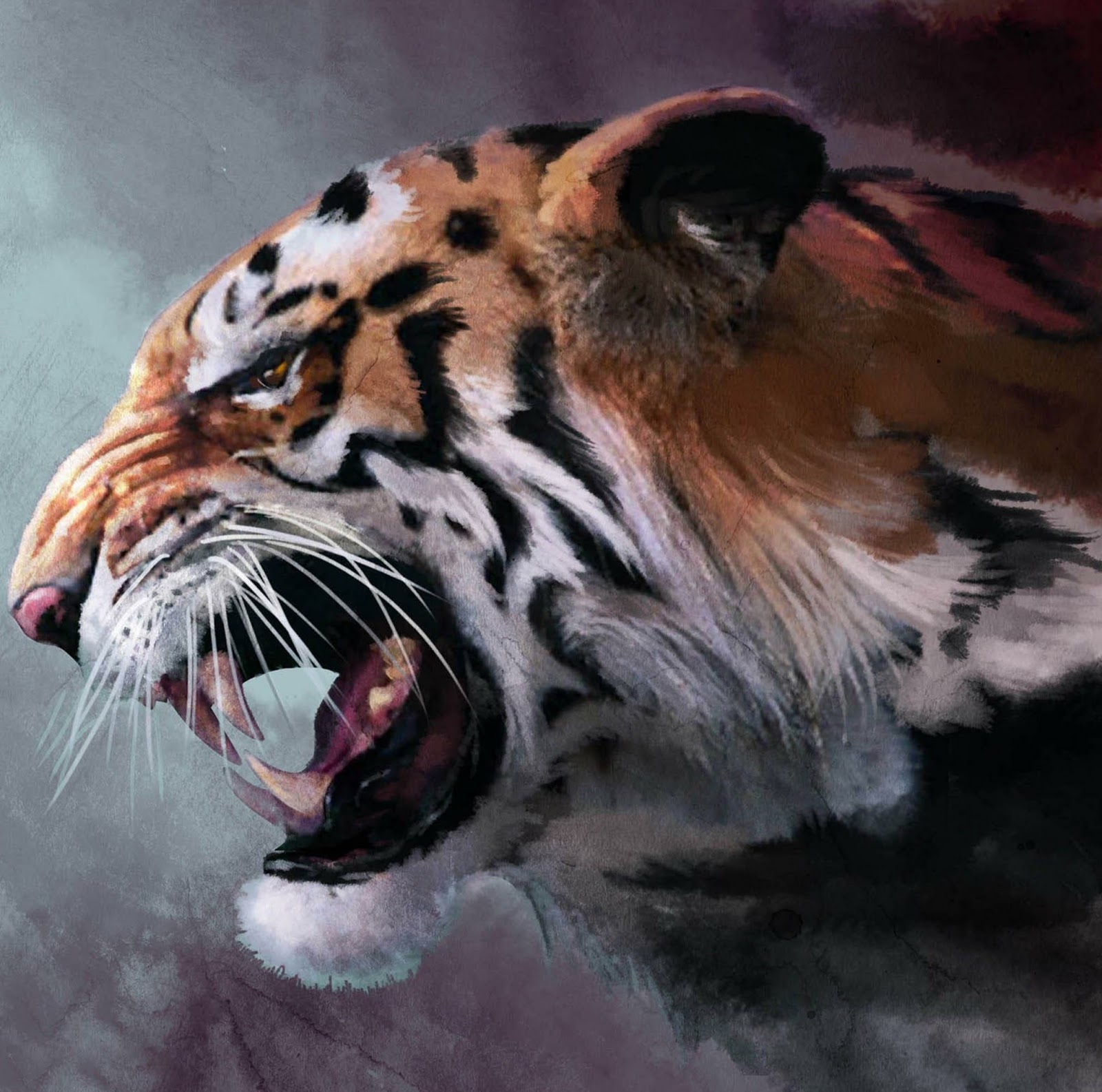  Gambar  Harimau Terbaru Kumpulan  Gambar 