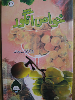 Shan e Ali Book Shop*~* کُتب خانہ شانِ علی*~*: Hikmat wa Tibi Books