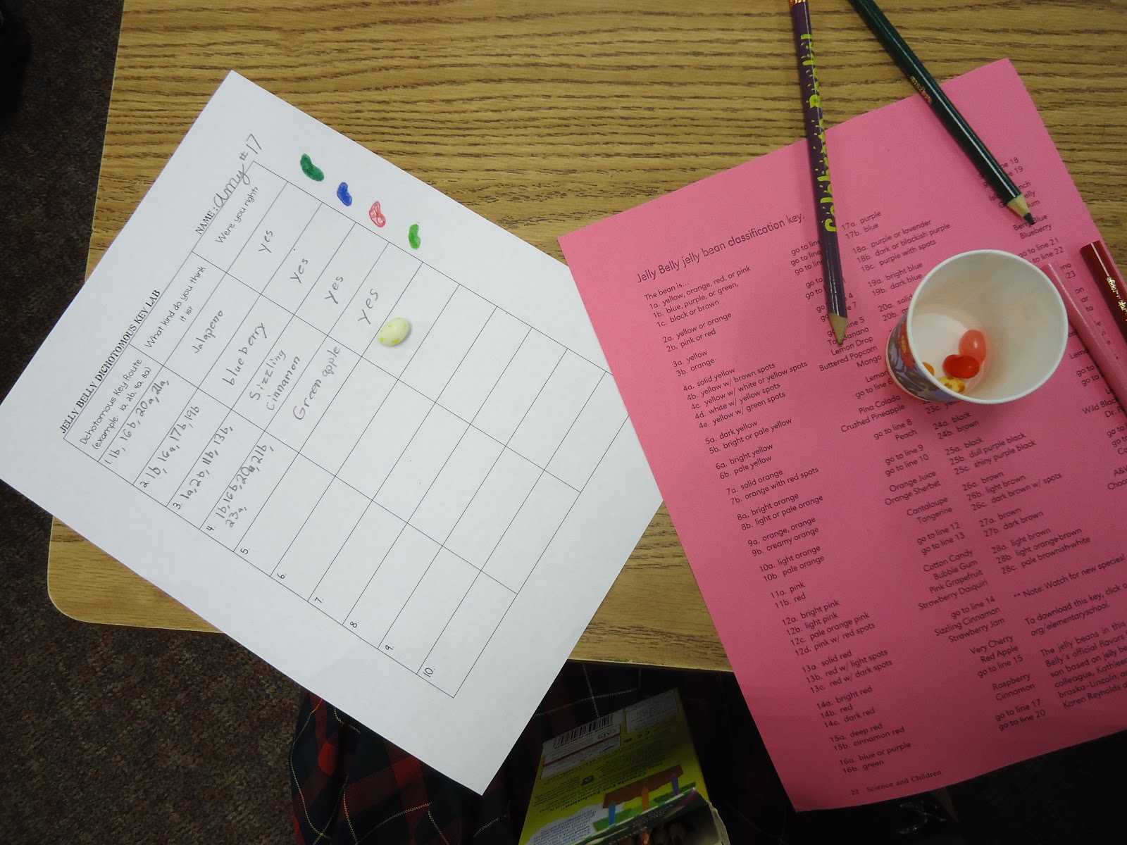 Real Teachers Learn The Dichotomous Key