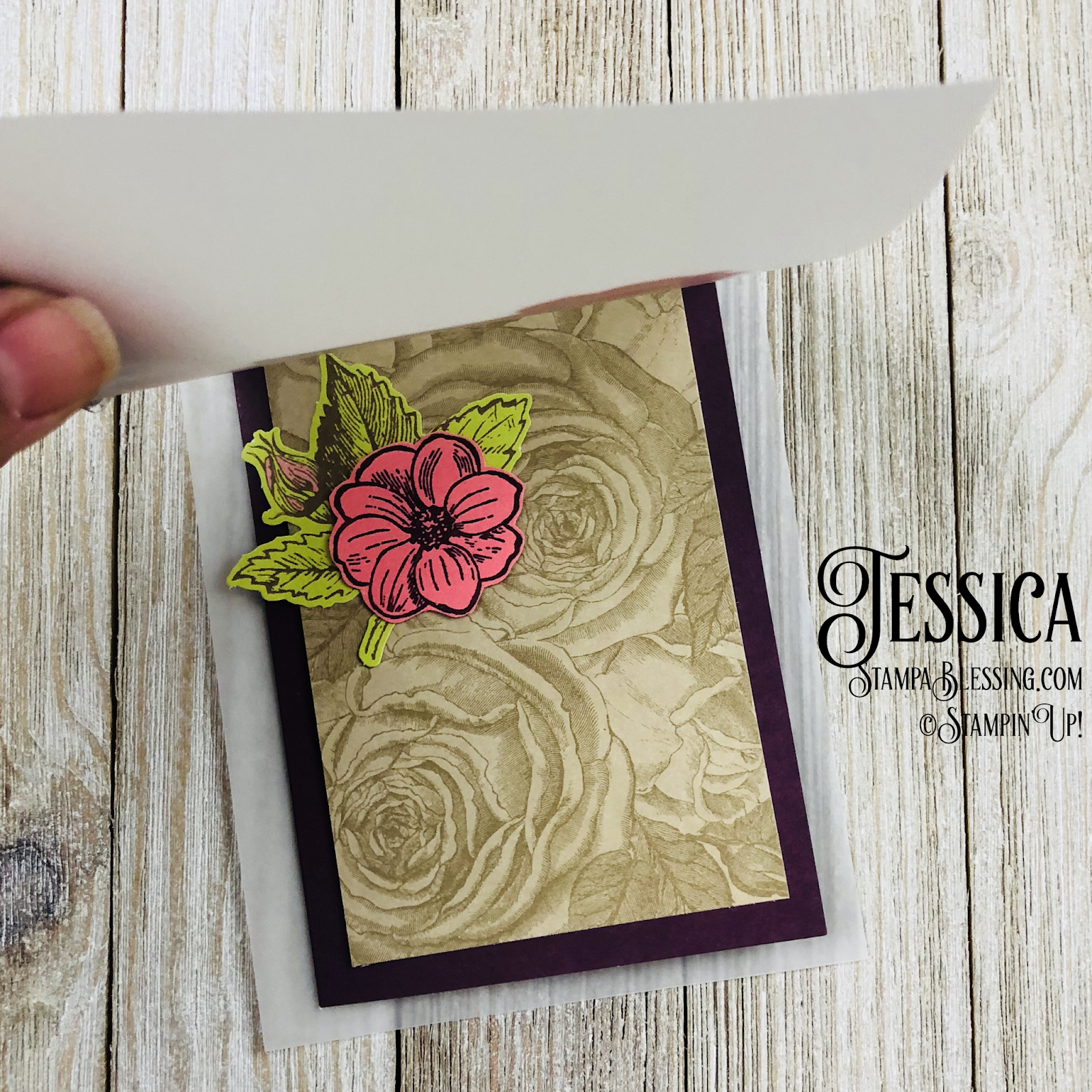 Stamp a Blessing How to Use Vellum for your Cards
