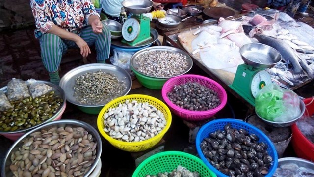 Top 10 vựa hải sản Côn Đảo tươi ngon nên mua khi du lịch