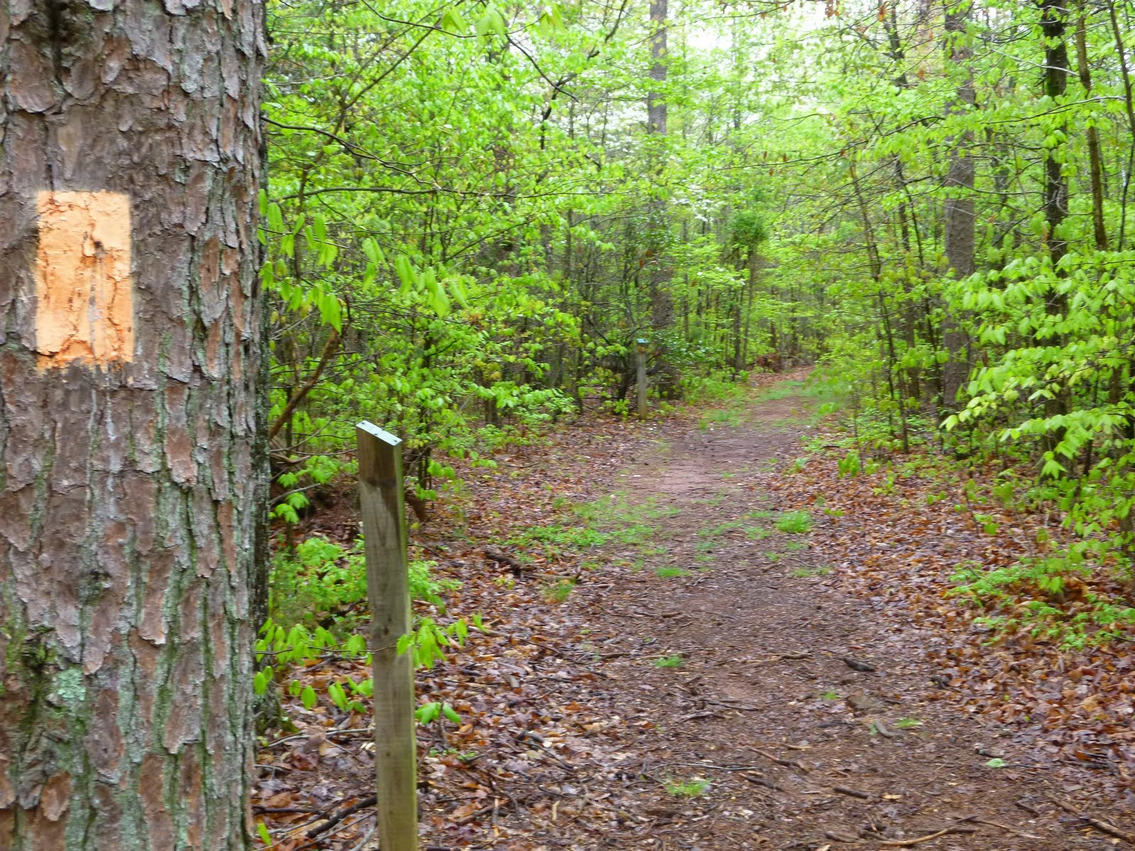 Gone Hikin' Appomattox Court House National Historical Park