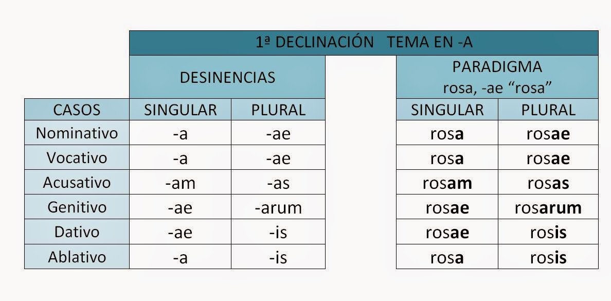 A las aladas almas de las rosas 1ª, 2ª y 3ª DECLINACIÓNES LATINAS