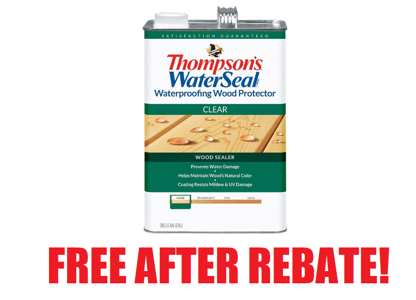 1-gallon-thompson-s-waterseal-clear-waterproofing-wood-protector-free