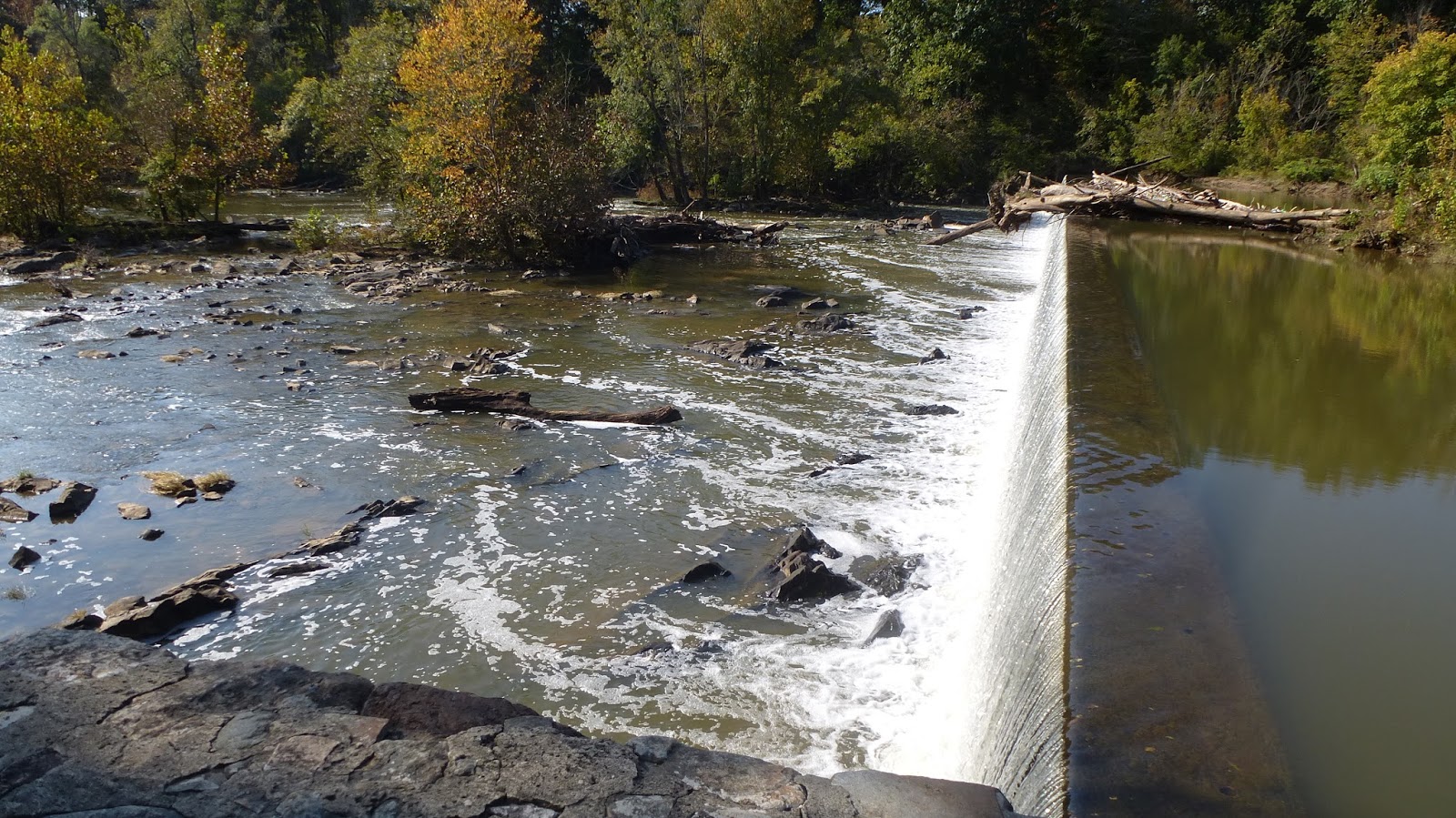 greenmon's folly Oct 16 Haw River Trail