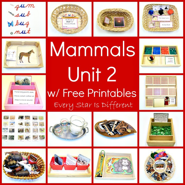 Mammals Unit 2 with Free Printables