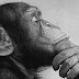 10 Things You Are Not Supposed to Know
