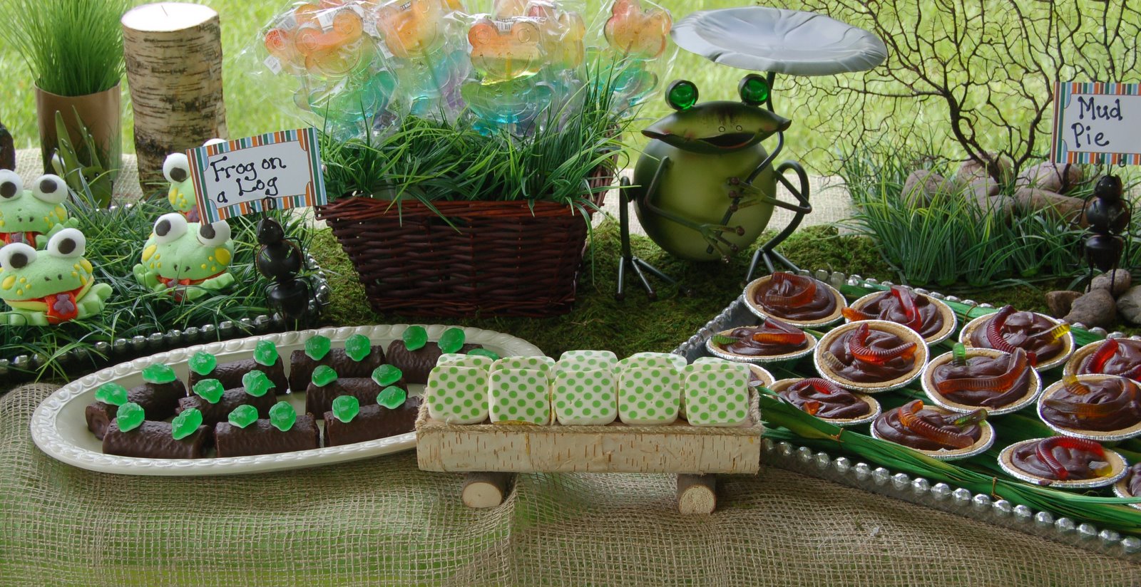 Maddyson's Lane: Campout Birthday Party