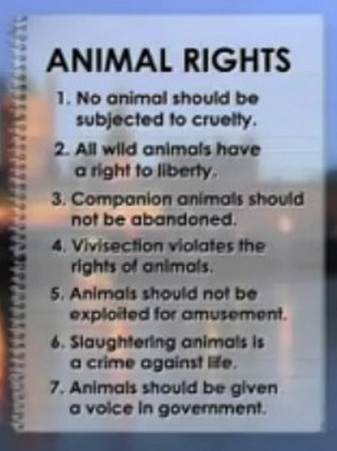 AGN VEG GLOBAL: Animal liberation WORLD rEVOLution