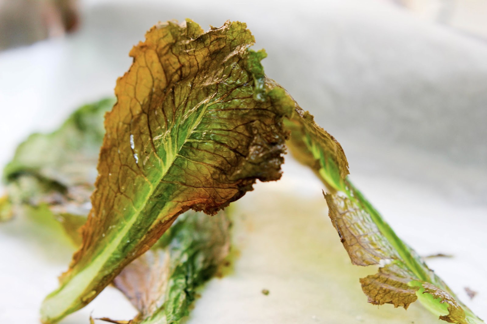 A Scientist's Love Affair with Food Lettuce "Chips"