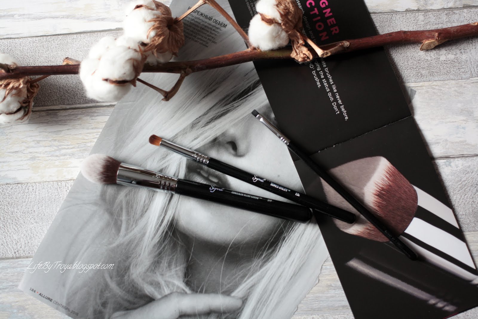 Review Sigma Brushes F79 Concealer Blend Kabuki, E34 Domed Utility