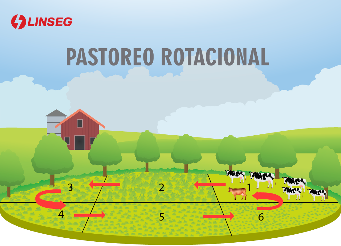 SISTEMAS DE PASTOREO UTILIZADOS EN LA GANADERÍA