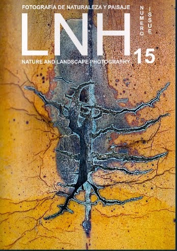 Revista LNH