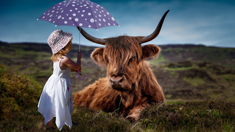 Photoshop Artwork