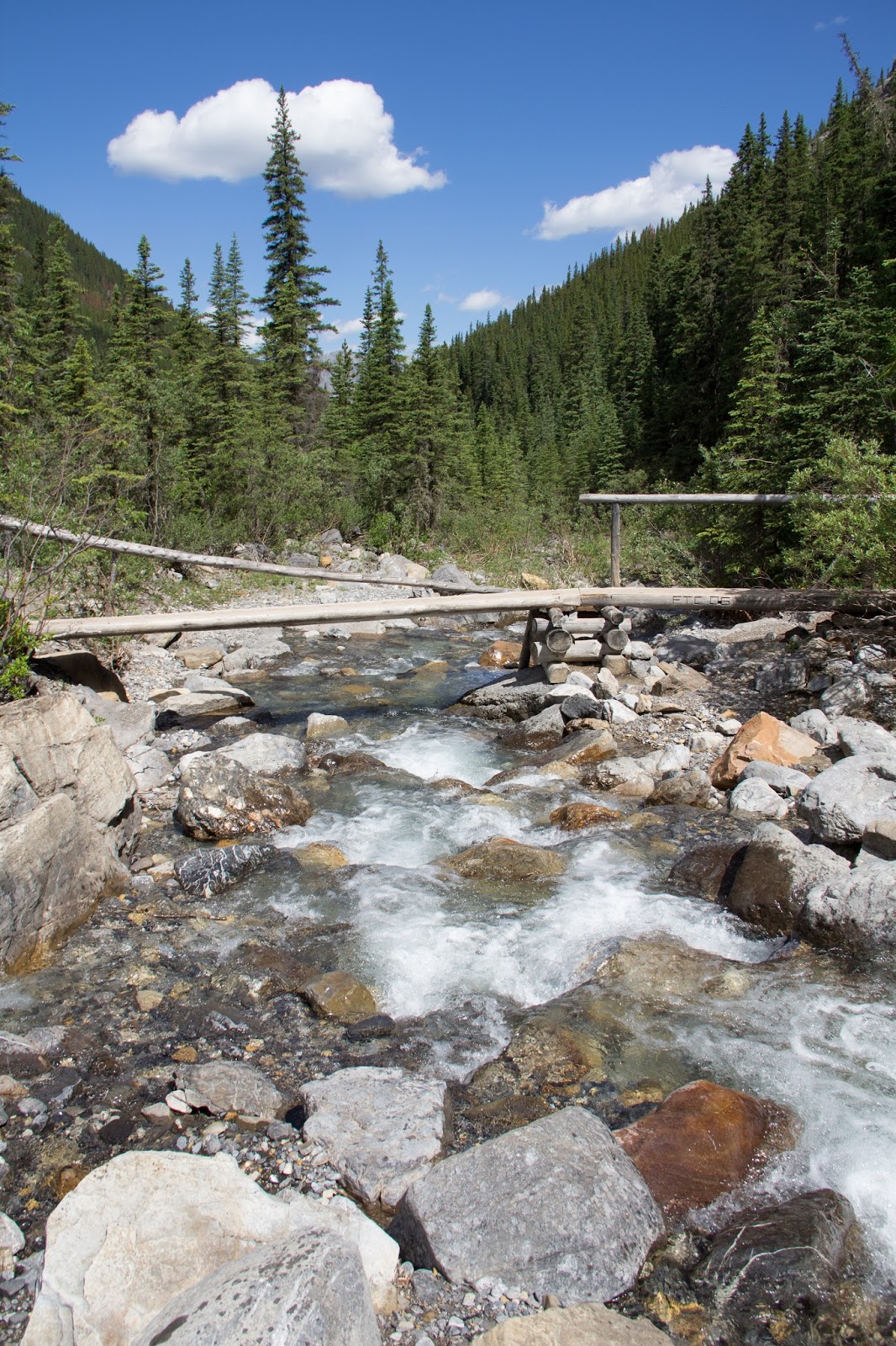 That Hideous Man On the Utopia trail from Miette Hot Springs