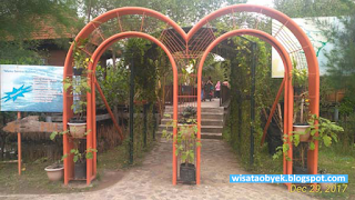 Wisata Mangrove Surabaya ekowisata hutan bakau sby
