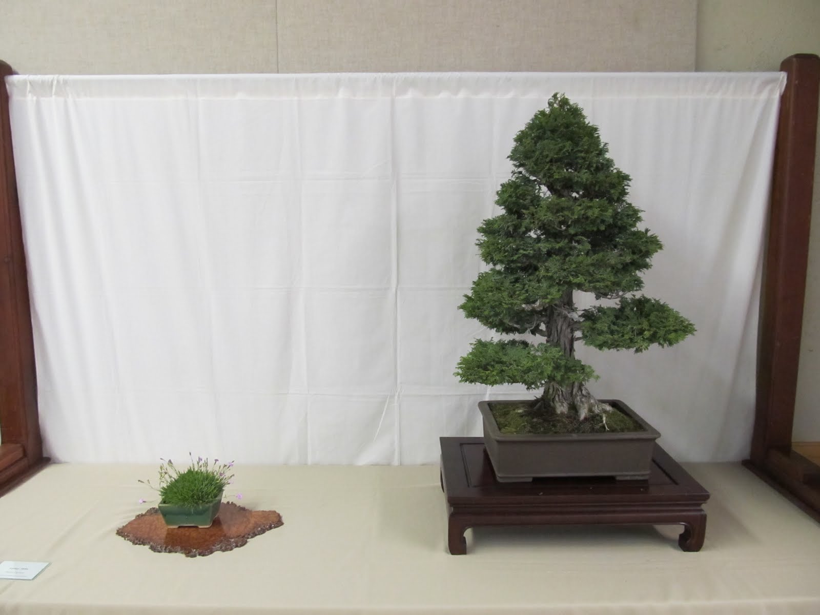 bonsaibp's bonsai blog Santa Anita Bonsai Society Show