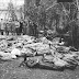 23 февраля отмечают день памяти юнкеров и добровольцев, погибших защищая Тбилиси от Красной Армии