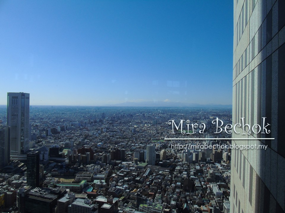 Jelaskan Pemandangan Tokyo Skytree Dari Sini Jelaskan Pemandangan Tokyo Skytree Dari Sini