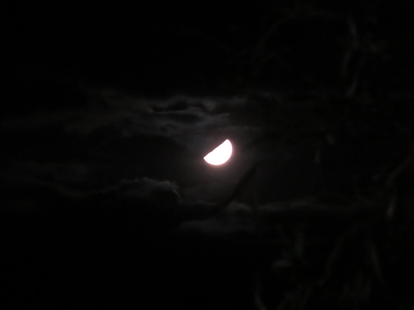四年級的觀察探索 14年9月2日晚上的上弦月