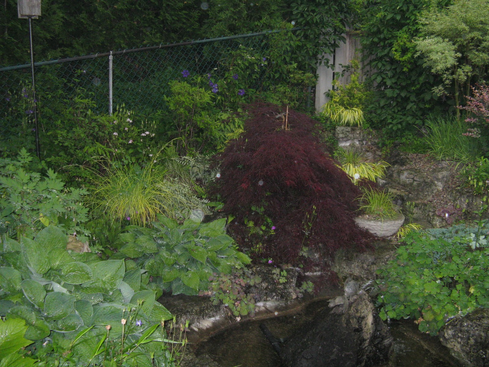 Kelly Gardens Not all gardeners are nice people