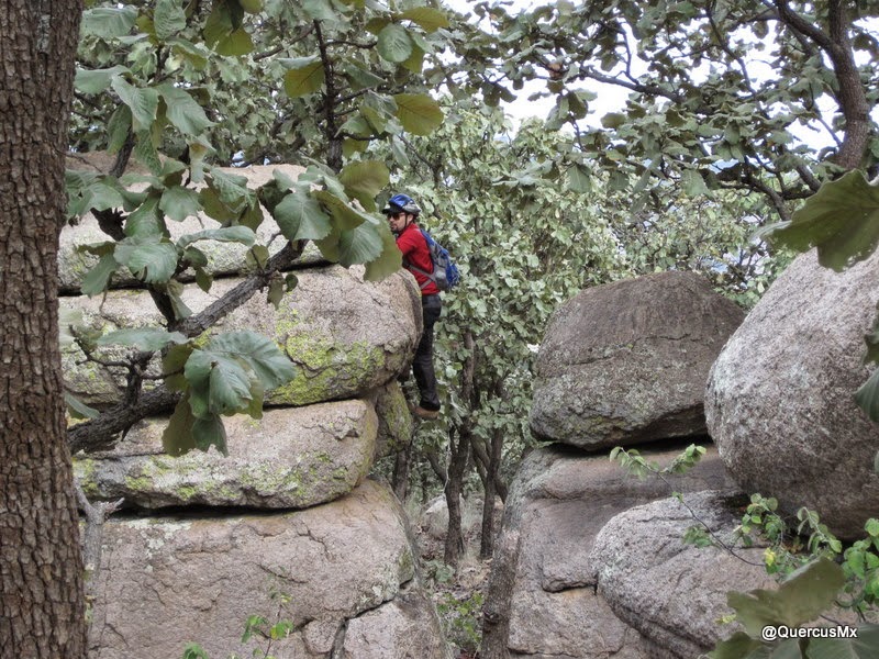 Las Pilas del Cerro Jacal de Piedra
