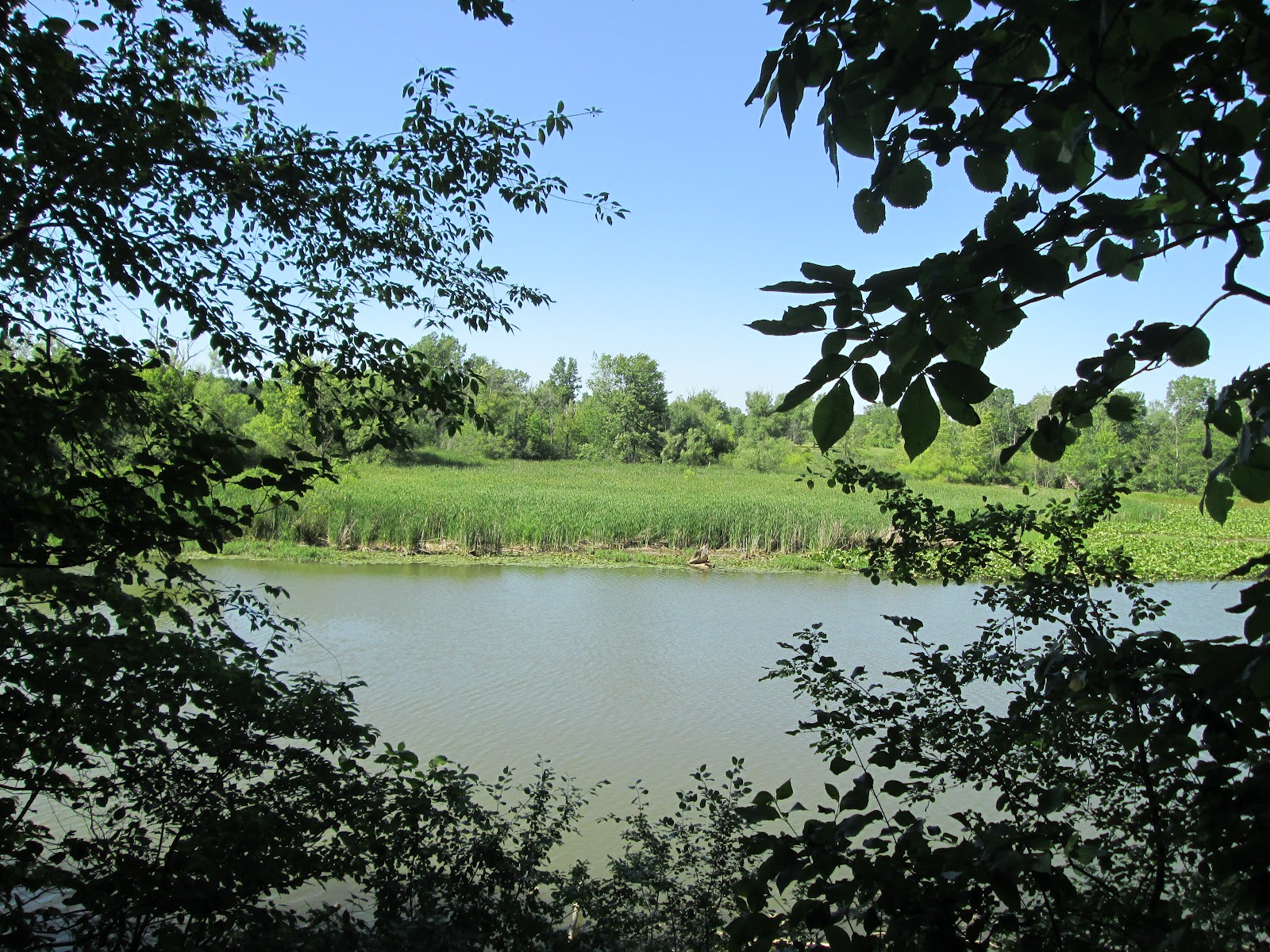 Discovering Michigan: Metroparks: Lower Huron, Willow, and Oakwoods ...