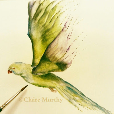 bird watercolour painting