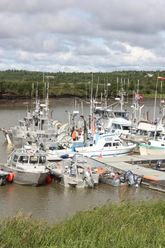 each day an adventure in alaska dillingham, alaska