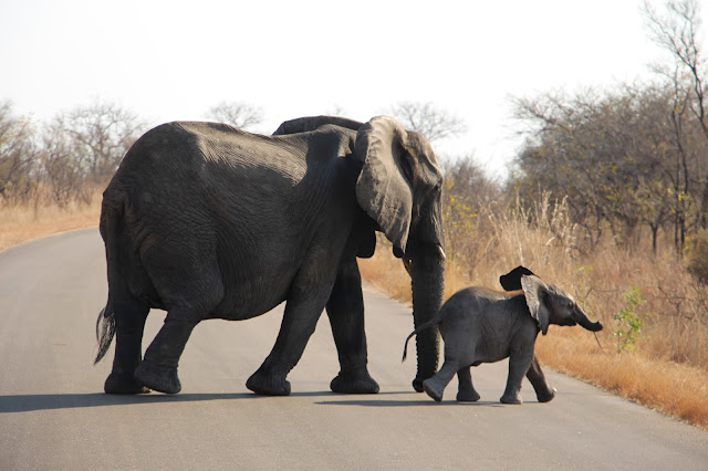 VIAGEM DE OVERLAND - Parte 5 - De Joanesburgo ao Parque Nacional de Kruger