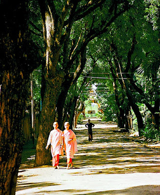 Avenue in Monywa Myanmar Avenue in Monywa Myanmar