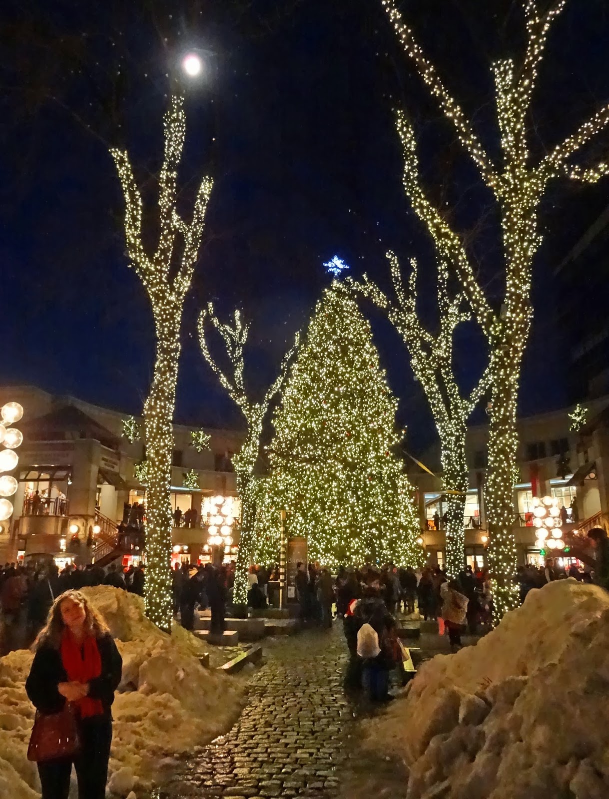 Quincy faneuil Joe's Retirement Blog: Holiday Lights at the Faneuil Hall Marketplace