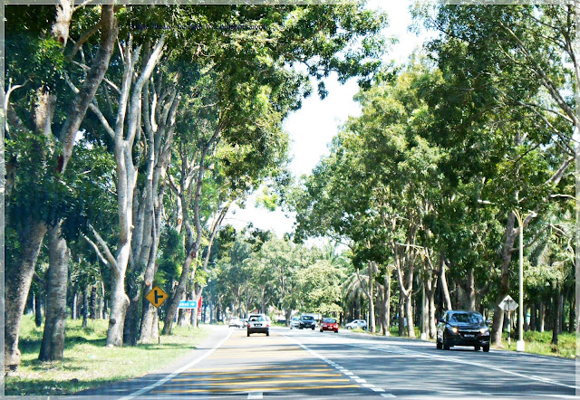 road in Teluk Intan road in Teluk Intan