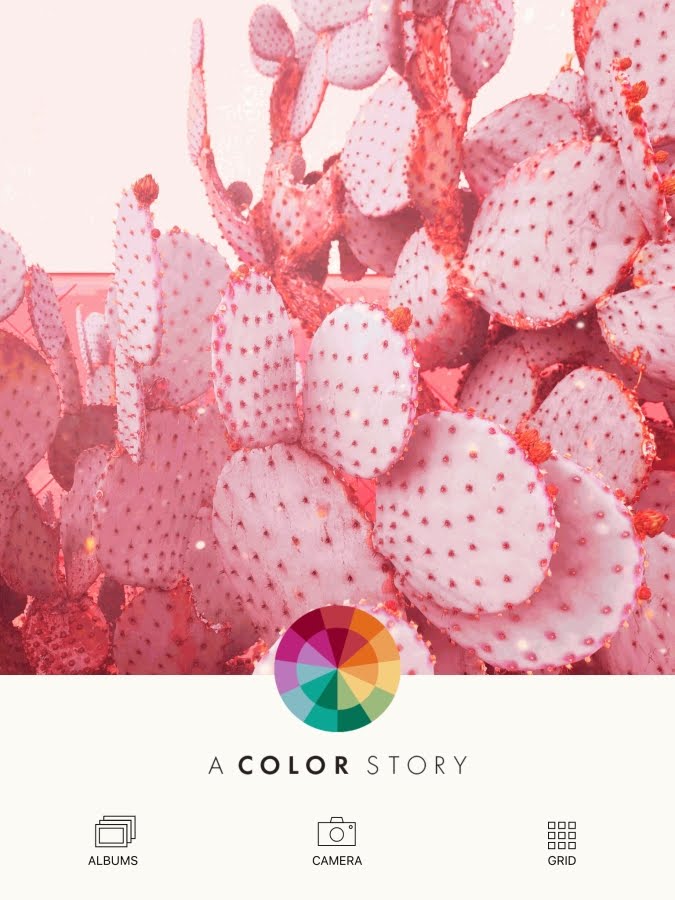 A Color Story App | A Relaxed Gal