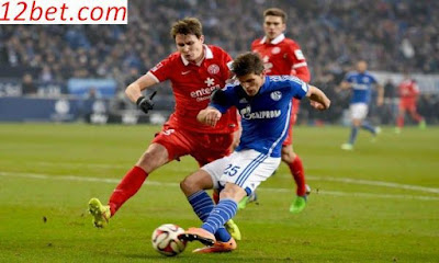 Dự đoán bóng đá Bundesliga 12/1: Mainz vs Schalke  Mainz1