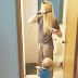 ‘To All The Dads Out There Reading This… Take More Pictures!’