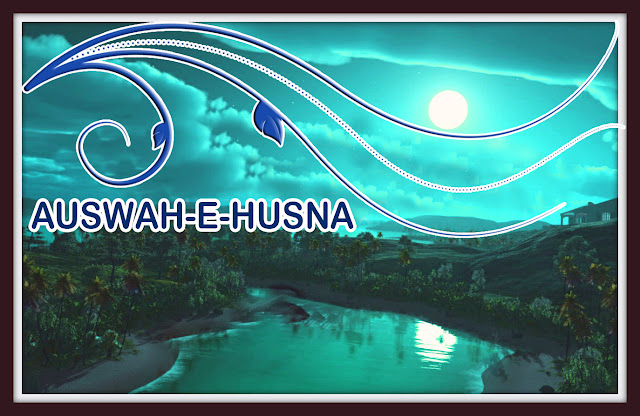 Essay on Uswa-e-Husna