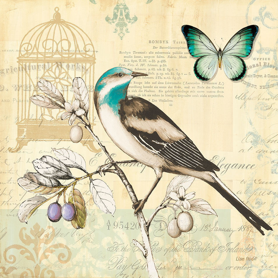 Au Fil Des Pages Lisa Audit 2